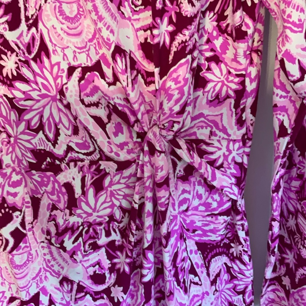 Lilly Pulitzer long sleeve dress. Waist detail
